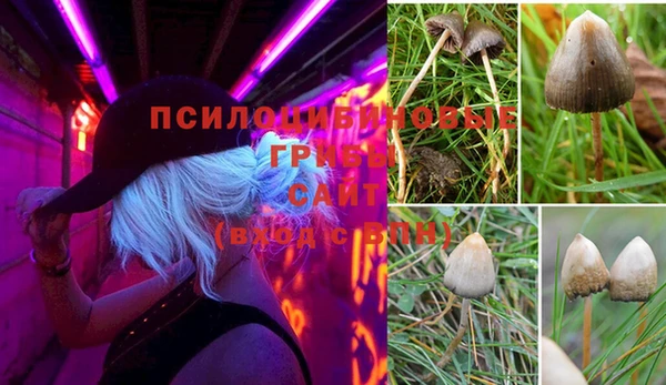 не бодяженный Алзамай