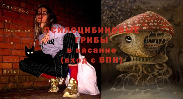 круглые Алексин