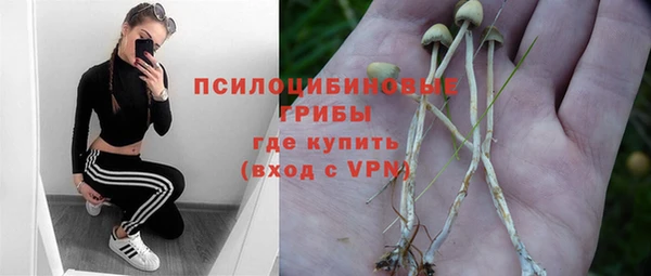 стаф Алексеевка