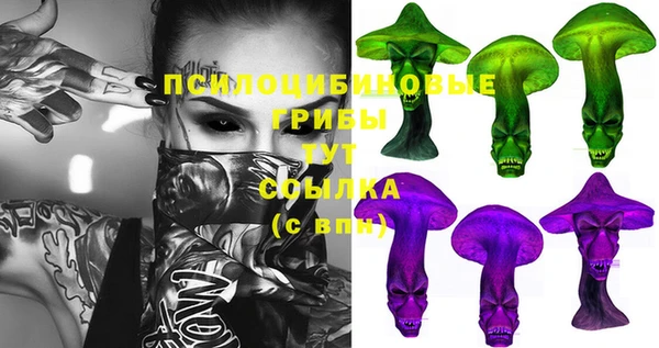 стаф Алексеевка