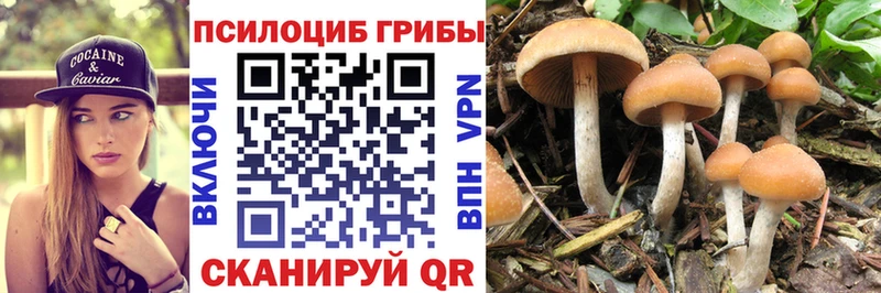 Псилоцибиновые грибы Cubensis  Удачный 